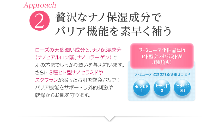 アプローチ2. 贅沢なナノ保湿成分でバリア機能を素早く補う