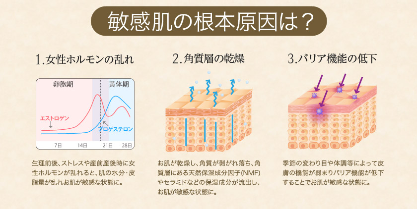 ベンカン肌の根本原因は? 1.女性ホルモンの乱れ 2.角質層の乾燥 3.バリア機能の低下