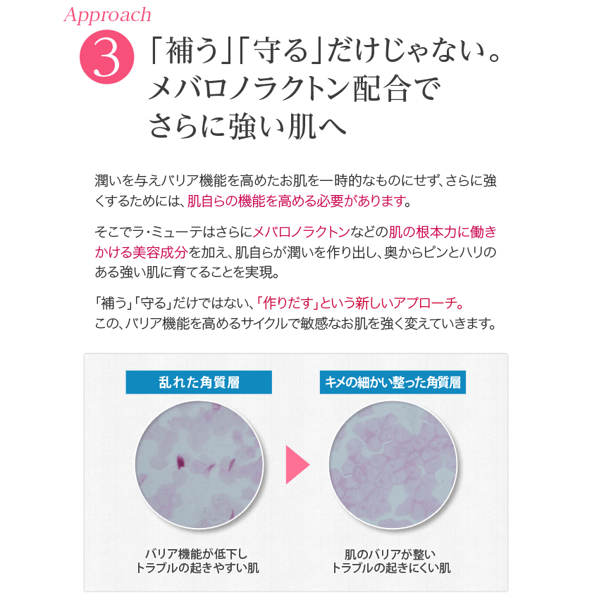 アプローチ3. 「補う」「守る」だけじゃない。メバロノラクトン配合でさらに強い肌へ