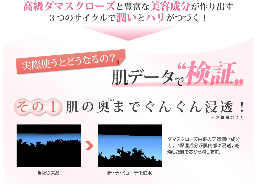 翌朝の肌で検証　その1　肌の奥までグングン浸透！